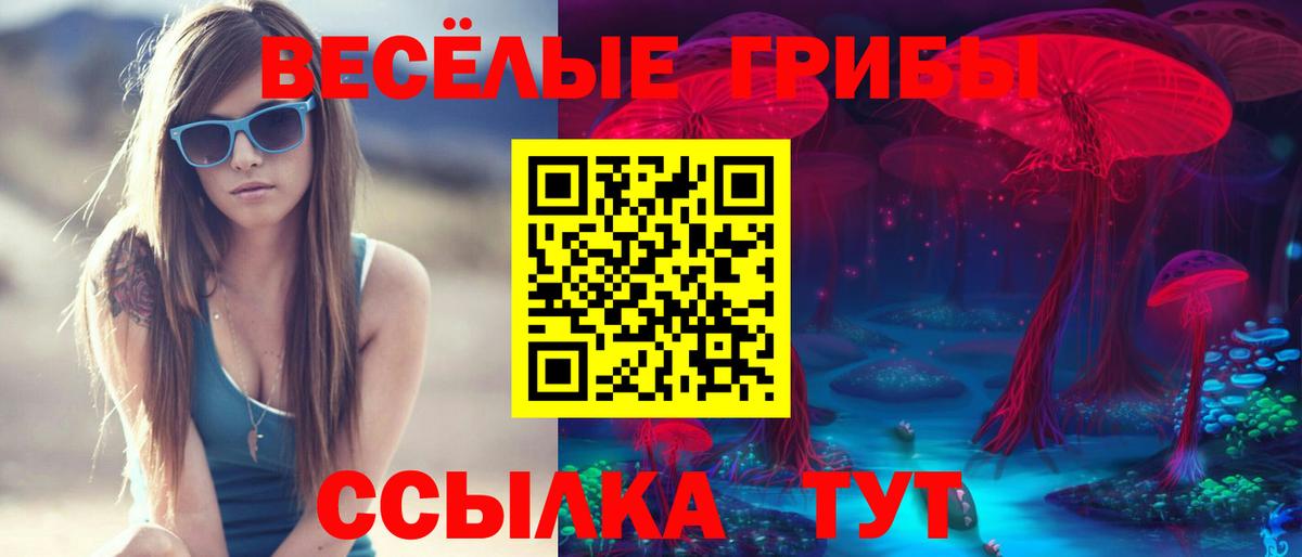 Псилоцибиновые грибы Psilocybe Канаш